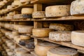 Artisan cheese wheels stored on wooden shelves cheese factory. Rustic dairy production