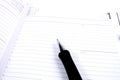 Agenda and ball pen Royalty Free Stock Photo