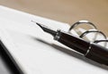 Agenda and ball pen Royalty Free Stock Photo
