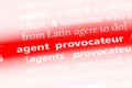 agentprovocateur Royalty Free Stock Photo