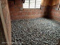 Aggregate spred for the flooring Royalty Free Stock Photo