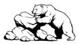 Aggressive Bear Roaring on Rocks Black and White Illustration Royalty Free Stock Photo