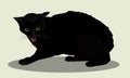 Aggressive black cat wit. Cat is angry. Cat hisses. Favorite pets. Realistic vector illustration.