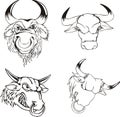 Aggressive bull heads