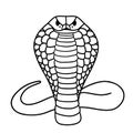 Aggressive cobra.. Black and white vector illustration hand drawn. Classic image of the snake is isolated