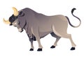 Angry bull animal with horns, wild ox vector