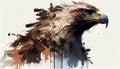 a painting drawing of aggressive eagle hawk by watercolor dark style, Generative AI, illustration