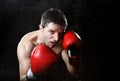 Aggressive fighter man boxing angry with red fighting gloves posing in boxer stance Royalty Free Stock Photo