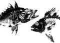 Aggressive Fish Skeletons Set, Vintage Xerography Halftone Engraving, Black and White Marine Vector Illustration Royalty Free Stock Photo