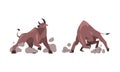 Aggressive furious muscle bulls attacking cartoon vector illustration