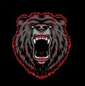 Aggressive grizzly head colorful template
