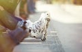 Aggressive inline rollerblader sitting in outdoor skate park Royalty Free Stock Photo