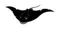 Aggressive Manta Ray Silhouette with Sharp Teeth Royalty Free Stock Photo
