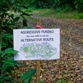 Aggressive Pukeko sign on Tiritiri Matangi Island, New Zealand
