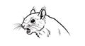 Aggressive Squirrel Head Line Art Vector Illustration Royalty Free Stock Photo
