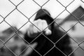 Aggressive teenage boy showing hes fist behind wired fence at the correctional institute, focus on the wired fence