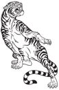 Aggressive tiger .Black and white tattoo