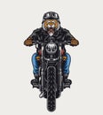 Aggressive tiger head biker Royalty Free Stock Photo