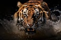 Aggressive tiger with water splashes looking at camera. Generative AI