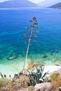 Agia Efimia beach, Cephalonia Royalty Free Stock Photo