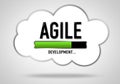 Agile Development strategy