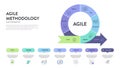 Agile lifecycle methodology infographic is a processes to create and respond to change. Life cycle of product development and