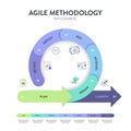 Agile lifecycle methodology infographic is a processes to create and respond to change. Life cycle of product development and