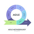 Agile lifecycle methodology infographic is a processes to create and respond to change. Life cycle of product development and