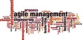 Agile management word cloud