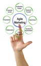 Agile Marketing Properties