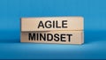 Agile mindset symbol. Concept words Agile mindset on wooden blocks. Business flexible and agile mindset concept