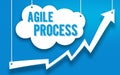 Agile Process Development