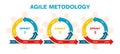 Agile project management, development methodology infographic. Agile software development lifecycle process sprints