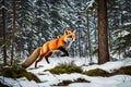 An agile red fox executing a graceful leap as it hunts for prey in a pristine boreal forest landscape