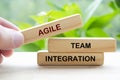 Agile Team Integration text on wooden block with blurred nature background. Teamwork and collaboration concept Royalty Free Stock Photo