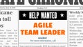 Agile team leader