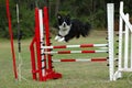 Agility