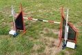 Agility single jump hurdle pet race sport competition nobody