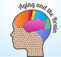 Aging and the brain Royalty Free Stock Photo