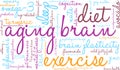 Aging Brain Word Cloud Royalty Free Stock Photo