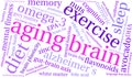 Aging Brain Word Cloud Royalty Free Stock Photo
