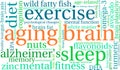 Aging Brain Word Cloud Royalty Free Stock Photo