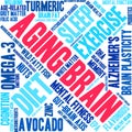 Aging Brain Word Cloud Royalty Free Stock Photo
