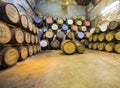 Aging old wooden barrels and casks in cellar at whisky distiller