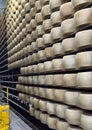 Aging Parmigiano Reggiano cheese in the San Silvestro Cooperative in Castelvetro di Modena, Italy.