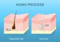 aging process. Graying hair Royalty Free Stock Photo