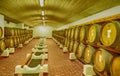 Oak barrels of wine in cellar