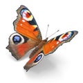 Aglais or European Peacock Butterfly with Fur Isolated 3D Illustration