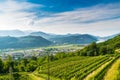 Agno, Switzerland. View of Agno, Lake Lugano, Lugano Airport, vineyards on the hills surrounding, on a beautiful summer day