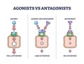 Agonists vs antagonists drugs behavior to receptor activation outline diagram